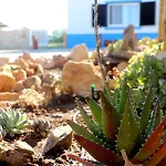 Quinta Ribeirinha - Dom wakacyjny Lagos