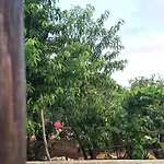 Quinta Ribeirinha - Dom wakacyjny *