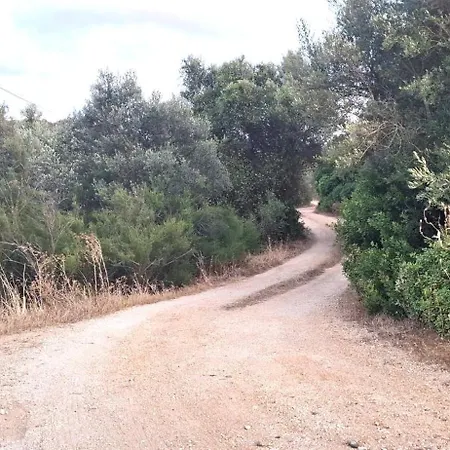 度假居 Quinta Ribeirinha -