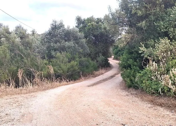 度假居 Quinta Ribeirinha -